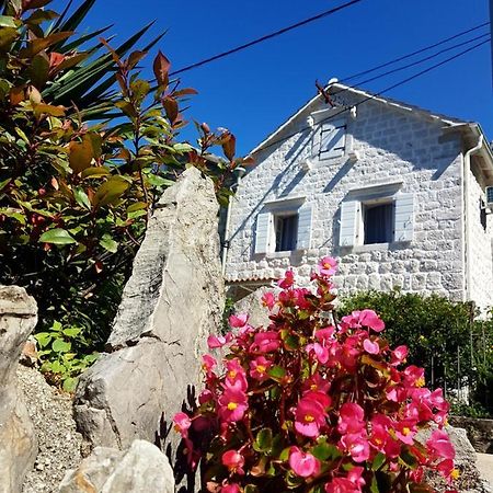 Old Stone Villa Lalosevic Κότορ Εξωτερικό φωτογραφία