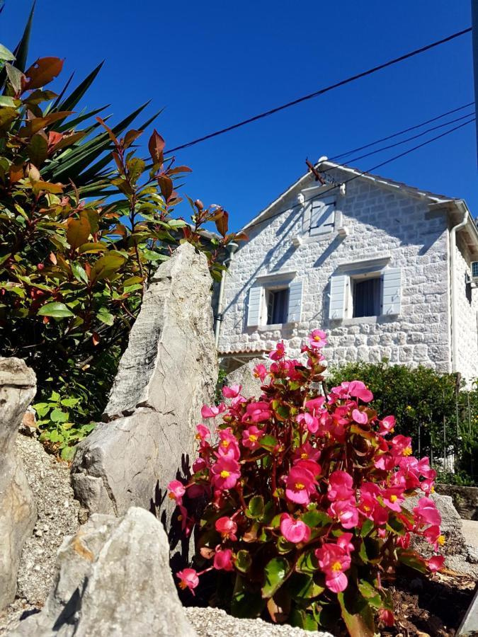Old Stone Villa Lalosevic Κότορ Εξωτερικό φωτογραφία